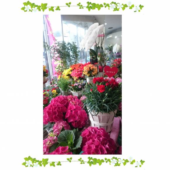 「白川花店」　（山梨県大月市）の花屋店舗写真3