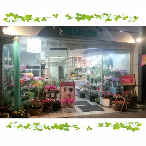 「白川花店」　（山梨県大月市）の花屋店舗写真1