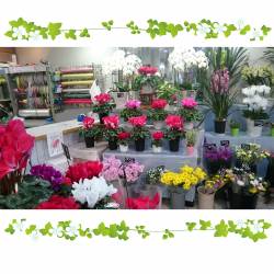 山梨県大月市の花屋　白川花店