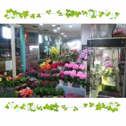 山梨県大月市の花屋　白川花店